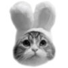Стикер 18 🐈‍⬛️ котики