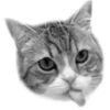 Стикер 10 🐈‍⬛️ котики