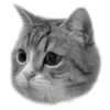 Стикер 6 🐈‍⬛️ котики