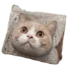 Стикер 9 🐈‍⬛️ котики