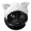 Стикер 28 🐈‍⬛️ котики
