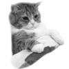 Стикер 41 🐈‍⬛️ котики