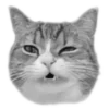 Стикер 3 🐈‍⬛️ котики