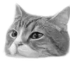 Стикер 11 🐈‍⬛️ котики