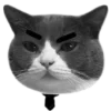 Стикер 26 🐈‍⬛️ котики