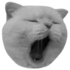 Стикер 20 🐈‍⬛️ котики