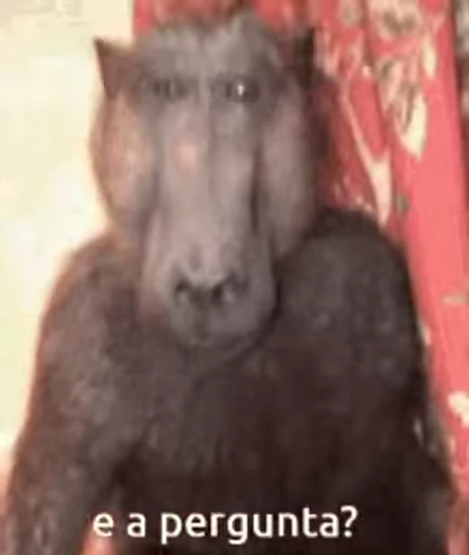 🐵 Стикер «marcios» для Telegram