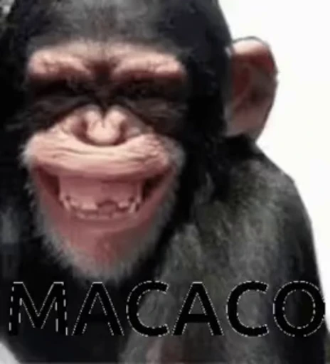 🐵 Стикер «marcios» для Telegram
