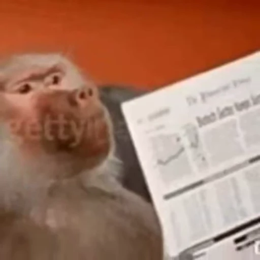 🐵 Стикер «marcios» для Telegram