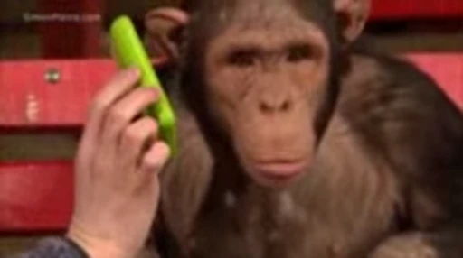 🐵 Стикер «marcios» для Telegram