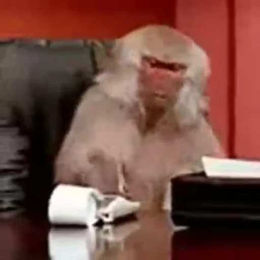 🐵 Стикер «marcios» для Telegram