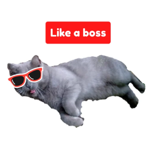 😎 Стикер «Marкiz» для Telegram