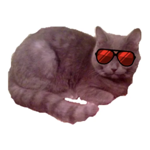 😼 Стикер «Marкiz» для Telegram