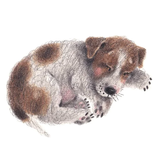 🐕 Стикер «Я с тобой» для Telegram