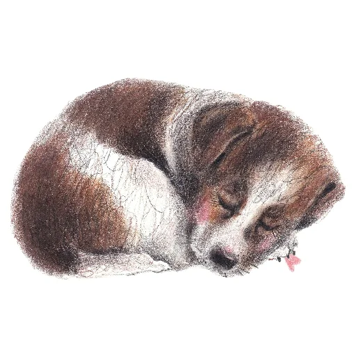 🐶 Стикер «Я с тобой» для Telegram