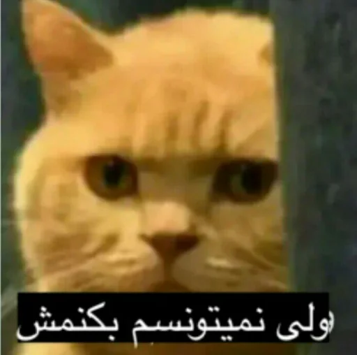 😐 Стикер «ᎷᎪᏒᎩ» для Telegram