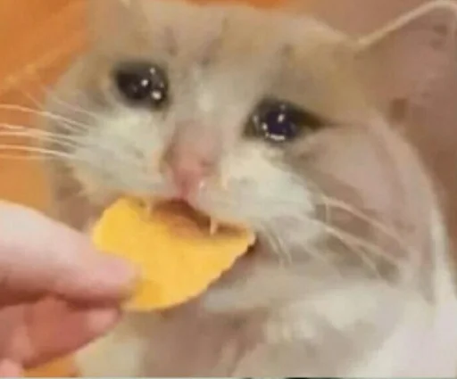 🥺 Стикер «ᎷᎪᏒᎩ» для Telegram