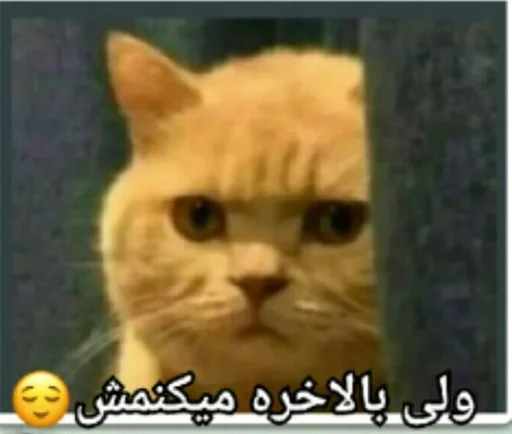 😌 Стикер «ᎷᎪᏒᎩ» для Telegram
