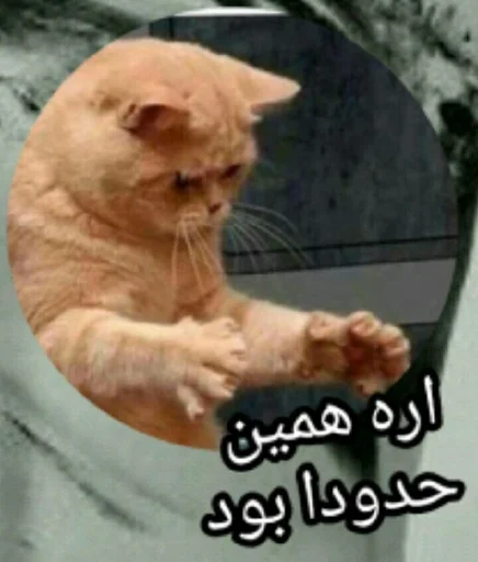 🍑 Стикер «ᎷᎪᏒᎩ» для Telegram