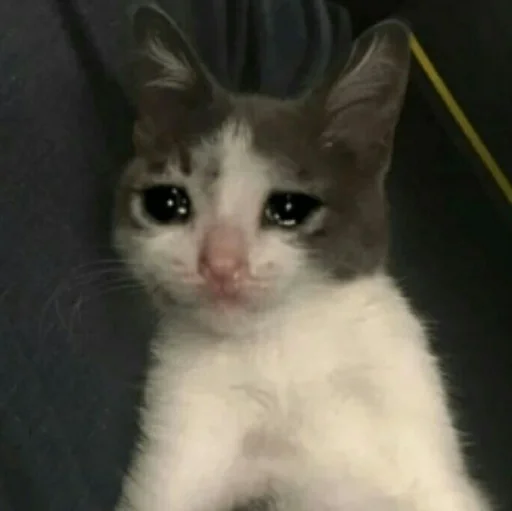🥺 Стикер «ᎷᎪᏒᎩ» для Telegram