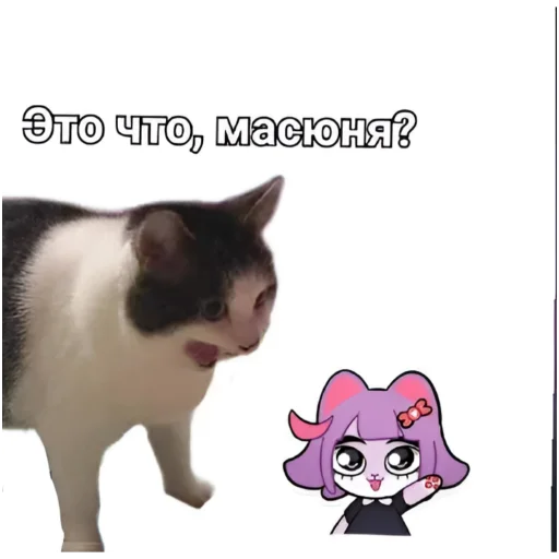 😯 Стикер «Масюня сюня» для Telegram