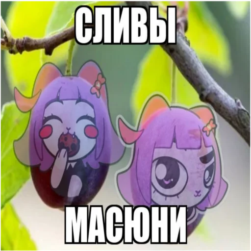 🍨 Стикер «Масюня сюня» для Telegram
