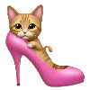 🐈 Эмодзи «Трафик на канал» для Telegram