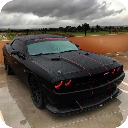 🚗 Стикер «Машины» для Telegram