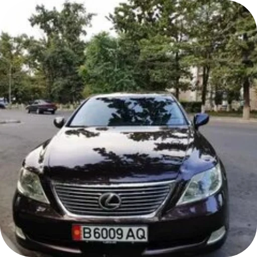 🚗 Стикер «Машины» для Telegram