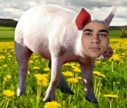 🐷 Стикер «Любимые кдм» для Telegram