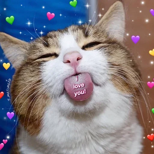 🥰 Стикер «Масони» для Telegram