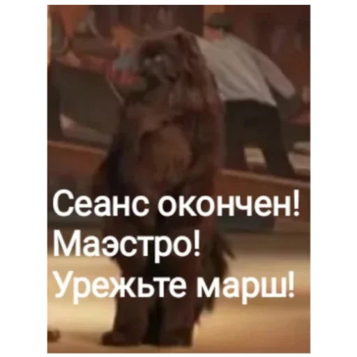 🤐 Стикер «Master i Margarita» для Telegram