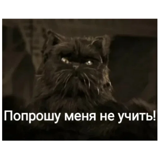 😡 Стикер «Master i Margarita» для Telegram