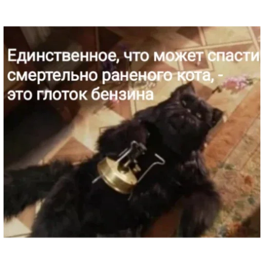 🤕 Стикер «Master i Margarita» для Telegram