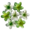 🌺 Эмодзи «Green Mixed» для Telegram
