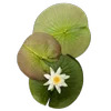 🪷 Эмодзи «Green Mixed» для Telegram