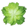 🥬 Эмодзи «Green Mixed» для Telegram