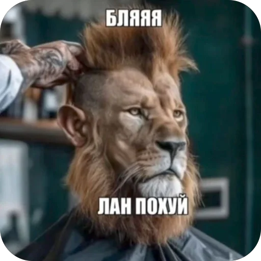 🫥 Стикер «матч.ьсдо.хла.» для Telegram