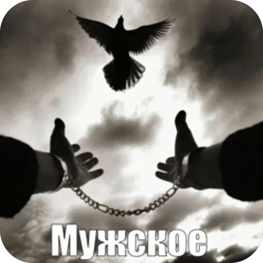 🫥 Стикер «матч.ьсдо.хла.» для Telegram