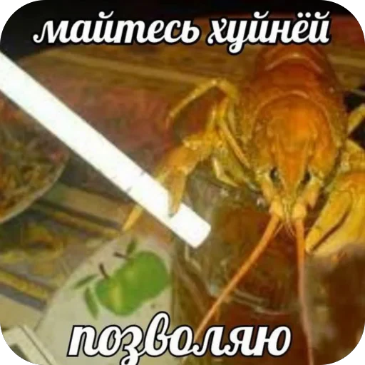 🫥 Стикер «матч.ьсдо.хла.» для Telegram
