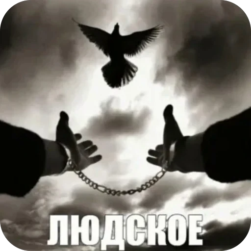 Стикерпак матч.ьсдо.хла. для Telegram