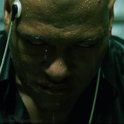 😵‍💫 Стикер «Матрица Matrix» для Telegram