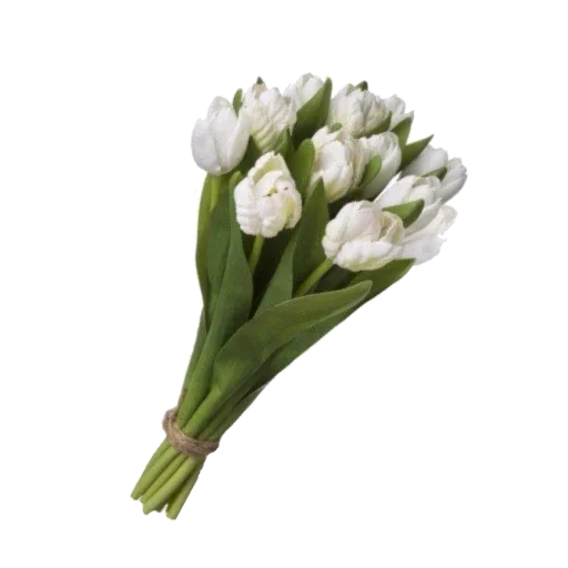 🌷 Стикер «Max atmosphere» для Telegram