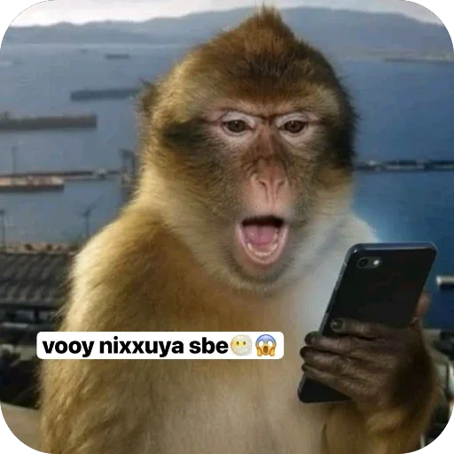 Стикерпак Maymunla 4.0 для Telegram