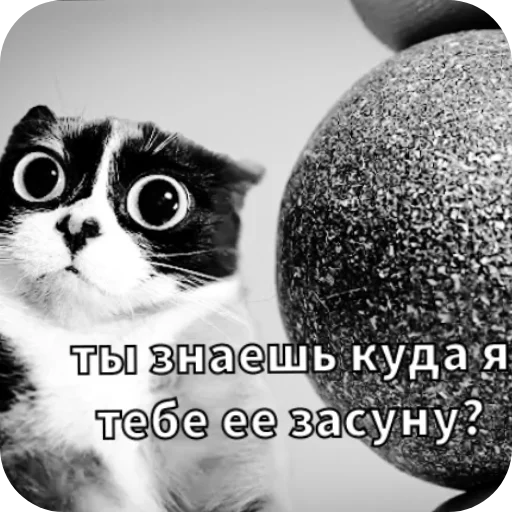 👍 Стикер «Майонез» для Telegram