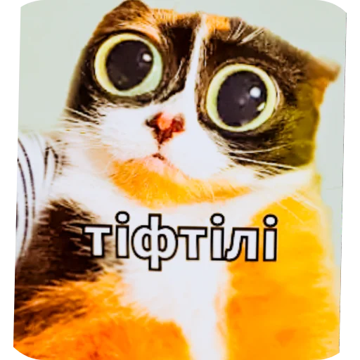 👍 Стикер «Майонез» для Telegram