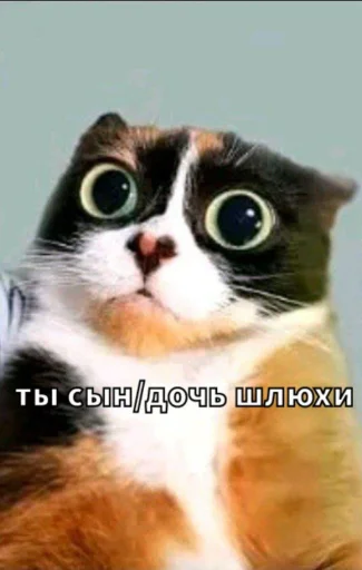 🤩 Стикер «Майонез» для Telegram