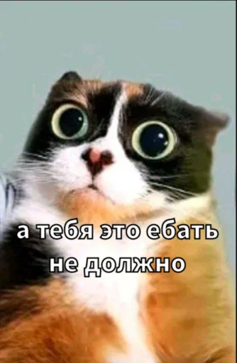 🤩 Стикер «Майонез» для Telegram