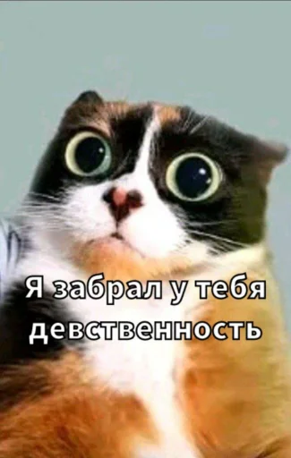 🤩 Стикер «Майонез» для Telegram