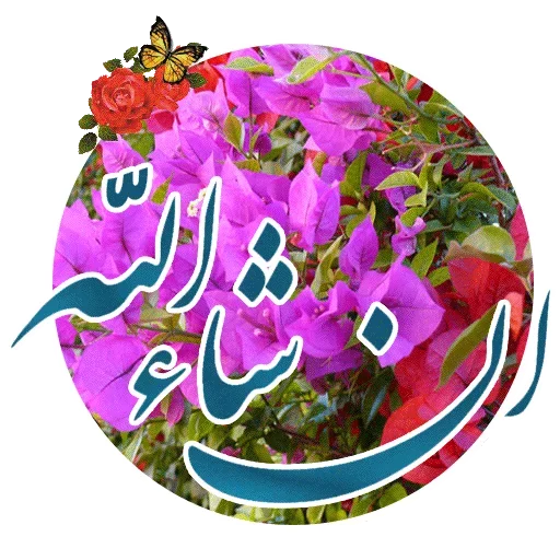 😐 Стикер «استیکر های مذهبی» для Telegram